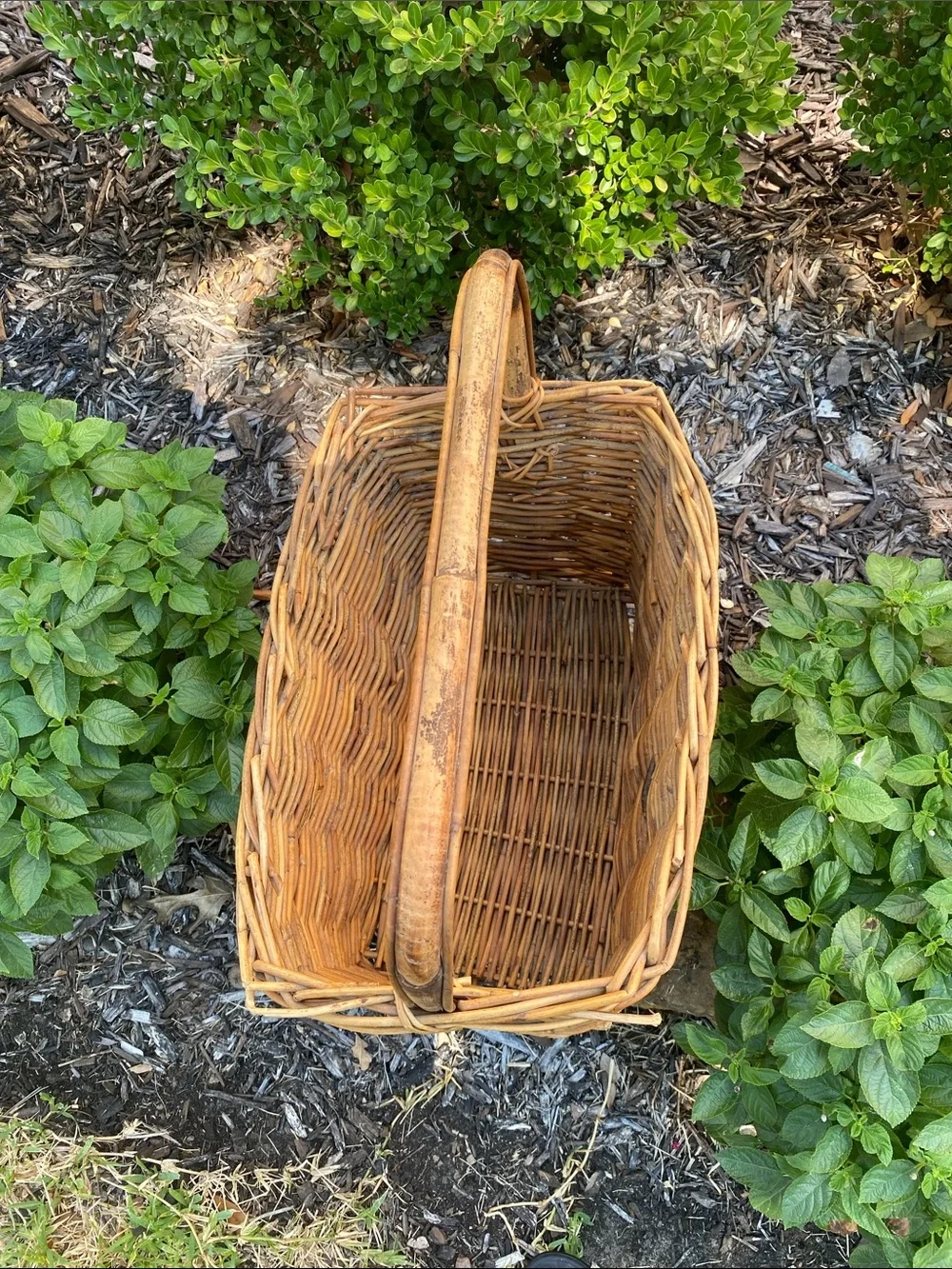 Vintage Woven Rattan Gathering Basket with Bamboo Handle in Natural Brown